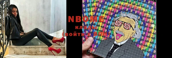 гашик Богданович