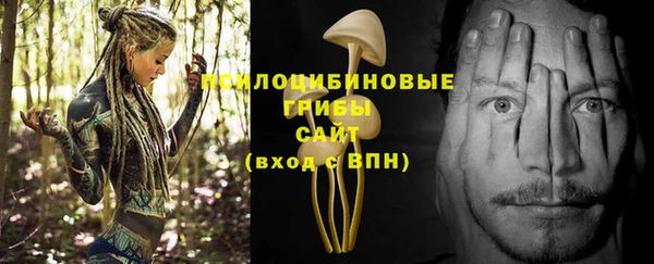 героин Богородицк