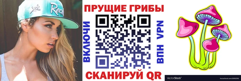 Галлюциногенные грибы GOLDEN TEACHER что такое Клинцы